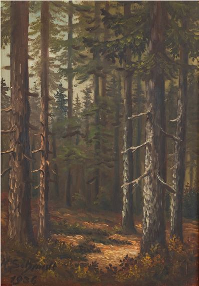 forest